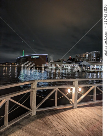 The pier at night, dimly lit by illuminations 117428826