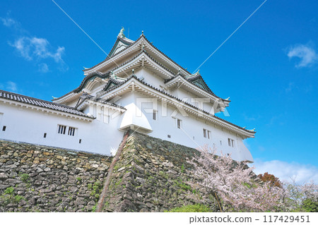 [Wakayama Castle] Wakayama City, Wakayama Prefecture 117429451