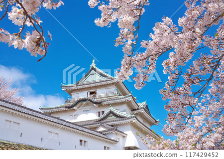 [Wakayama Castle] Wakayama City, Wakayama Prefecture 117429452
