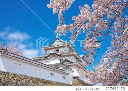 [Wakayama Castle] Wakayama City, Wakayama Prefecture 117429453