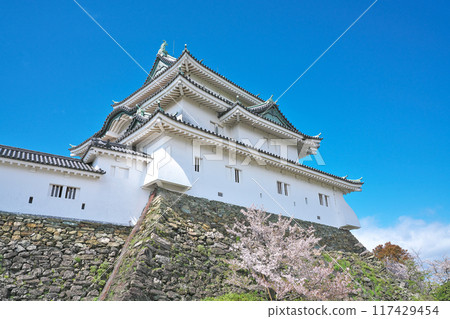 [Wakayama Castle] Wakayama City, Wakayama Prefecture 117429454