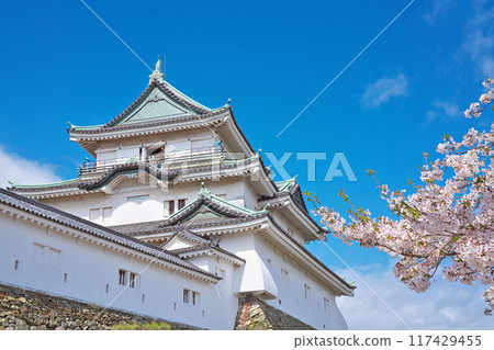 [Wakayama Castle] Wakayama City, Wakayama Prefecture 117429455