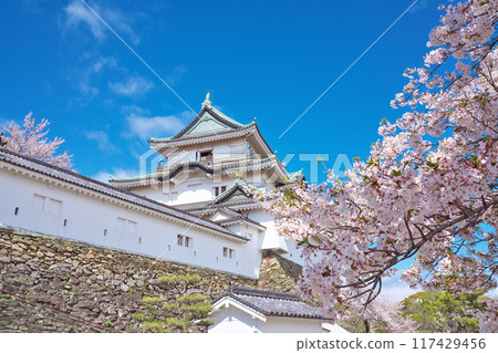 [和歌山城] 和歌山縣和歌山市 117429456