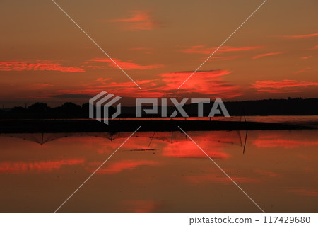 晨光反映在水面上 晨光反映在水面上 117429680
