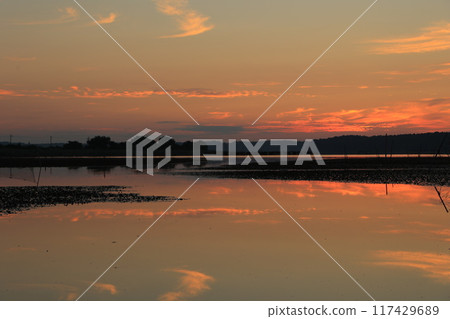 晨光反映在水面上 117429689