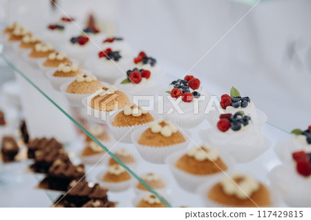 Set of delicious sweet cakes and dessert in the restaurant. Scene is celebratory and festive Set of delicious sweet cakes and dessert in the restaurant. Scene is celebratory and festive 117429815