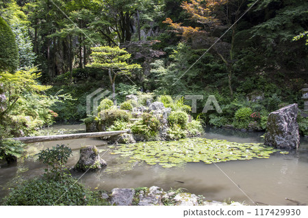 內部神社花園 內部神社花園 117429930