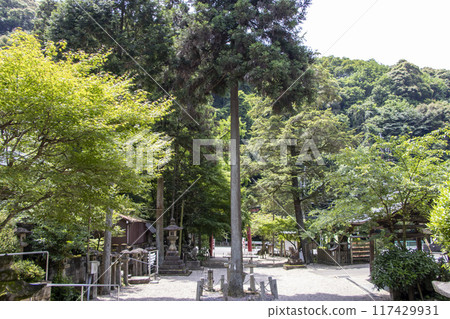 內內神社 春日井市 117429931
