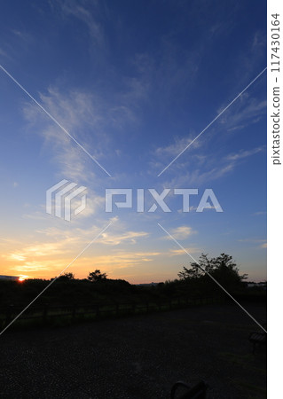 清晨陽光照亮的公園廣場 清晨陽光照亮的公園廣場 117430164