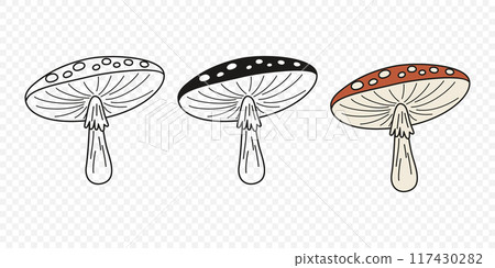 Flat Vector Hand Drawn Cartoon Fly Agaric Mushrooms Outline Illustration. Amanita Muscaria, Fly Agaric Illustration, Mushrooms. Magic Mushroom Icons, Design Template Flat Vector Hand Drawn Cartoon Fly Agaric Mushrooms Outline Illustration. Amanita Muscaria, Fly Agaric Illustration, Mushrooms. Magic Mushroom Icons, Design Template 117430282