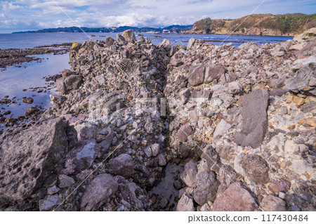 [Shizuoka Prefecture] Izu Peninsula Geopark, Ebisu Island (The wonder of underwater mudslides) 117430484