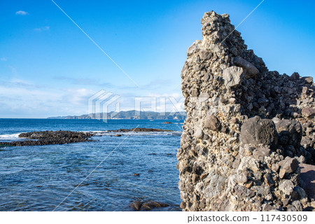 [Shizuoka Prefecture] Izu Peninsula Geopark, Ebisu Island (The wonder of underwater mudslides) 117430509