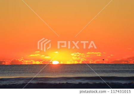 Dawn of Boso Dawn of Boso 117431015