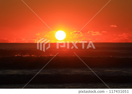 Dawn of Boso 117431051