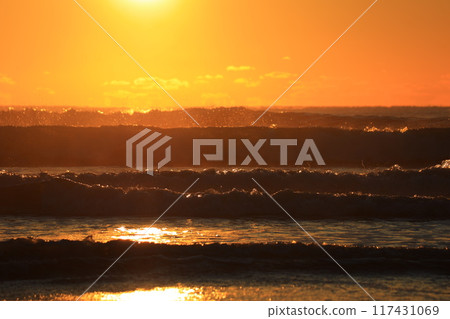 Dawn of Boso 117431069