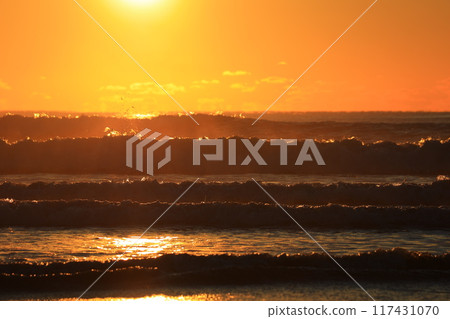 Dawn of Boso 117431070