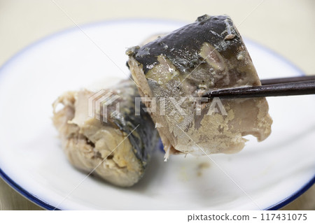 煮鯖魚 煮鯖魚 117431075