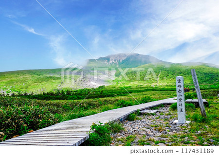 Boardwalk leading to Hakusan Murodo in summer 117431189