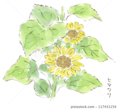 A watercolor illustration of a summer plant, a sunflower blooming vigorously under a large-leaved parasol A watercolor illustration of a summer plant, a sunflower blooming vigorously under a large-leaved parasol 117431259