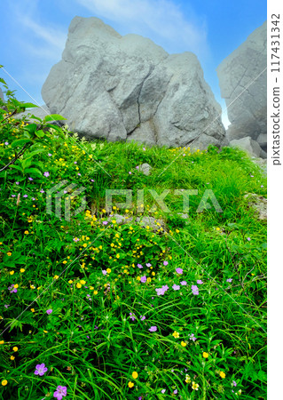 Flowers on the Sabo New Road (vertical) 117431342