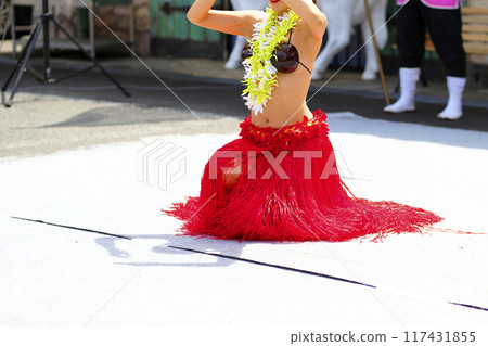 跳大溪地舞蹈的女人的裙子 跳大溪地舞蹈的女人的裙子 117431855
