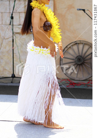 跳大溪地舞蹈的女人的裙子 跳大溪地舞蹈的女人的裙子 117431867