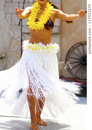 跳大溪地舞蹈的女人的裙子 跳大溪地舞蹈的女人的裙子 117431874