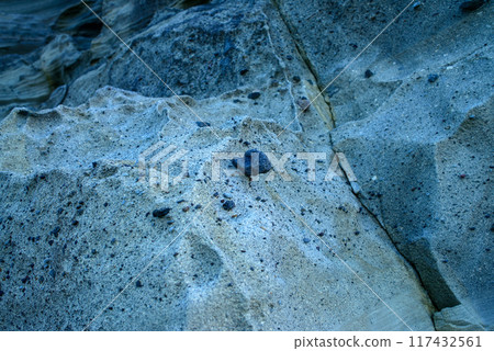 [Shizuoka Prefecture] Izu Peninsula Geopark, Ebisu Island Strata 117432561