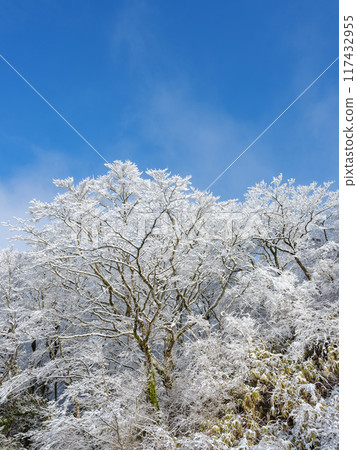 Image of a mountain range covered in frost during the harsh winter 117432955