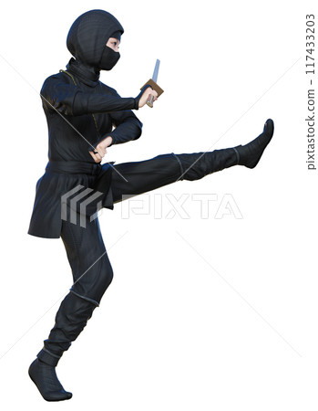 Ninja ☆ Ninja 117433203