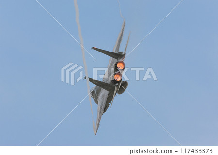 航空自衛隊F-15J鷹盤旋 117433373