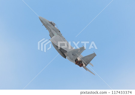 Soaring Air Self-Defense Force F-15J Eagle 117433374