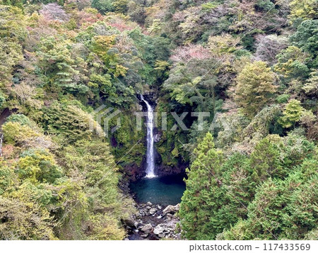 大貨架瀑布 大貨架瀑布 117433569