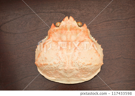 蟹殼影像 117433598