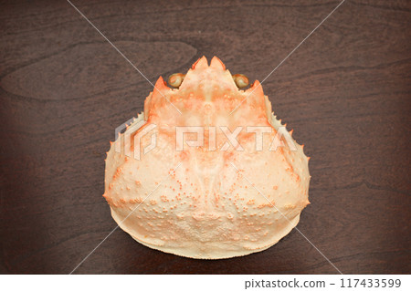 蟹殼影像 117433599