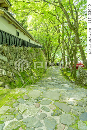 岐阜縣揖斐川町，西美濃三十三聖地第一寺的新綠中橫藏寺的紅橋 117433640