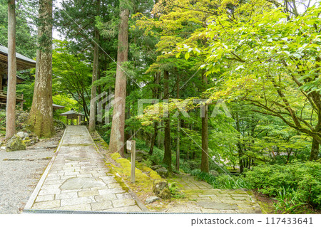 岐阜縣揖斐川町，西美濃三十三聖地第一寺橫三寺的新綠地 117433641