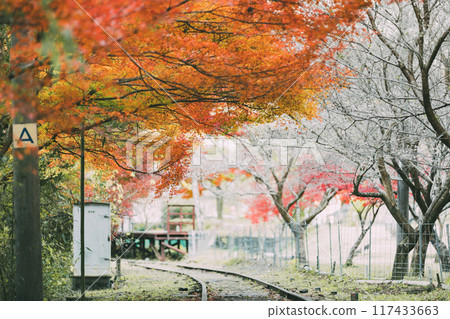 三河廣瀨站的秋葉 三河廣瀨站的秋葉 117433663