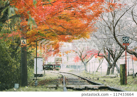 三河廣瀨站的秋葉 三河廣瀨站的秋葉 117433664