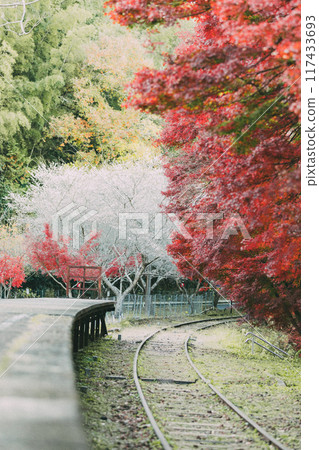 三河廣瀨站的紅葉和時令櫻花 117433693