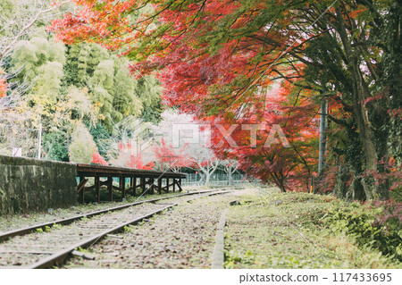 三河廣瀨站的紅葉和時令櫻花 117433695