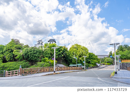 View of Kakegawa Castle's main tower and Taiko Tower from Midoribashi Bridge 117433729