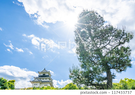 Matsu, a view of the Kakegawa Castle tower from the Ninomaru Palace gardens of Kakegawa Castle Matsu, a view of the Kakegawa Castle tower from the Ninomaru Palace gardens of Kakegawa Castle 117433737