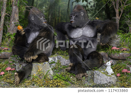Two big gorillas enjoying peaceful time in the forest 117433860