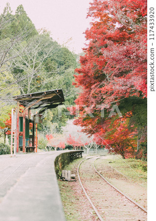 Autumn leaves and seasonal cherry blossoms at Mikawa Hirose Station 117433920