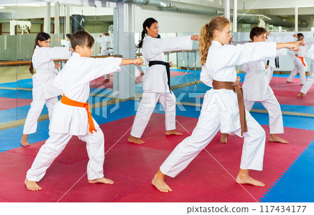 Teenager children wearing karate uniform fighters poses Teenager children wearing karate uniform fighters poses 117434177