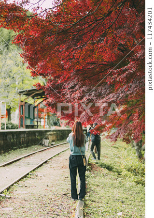 Autumn leaves and a woman's back view at Mikawa Hirose Station Autumn leaves and a woman's back view at Mikawa Hirose Station 117434201