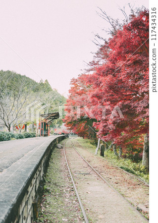 停運線路三河廣瀨站的秋葉 停運線路三河廣瀨站的秋葉 117434316
