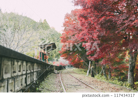 Autumn leaves at Mikawa-Hirose Station, an abandoned railway line 117434317