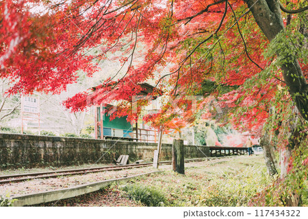 Autumn leaves at Mikawa-Hirose Station, an abandoned railway line 117434322